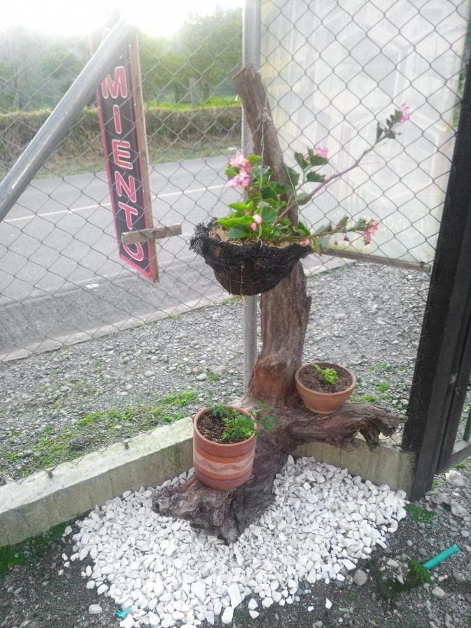 Alojamiento Rural San Francisco Salento Exterior photo